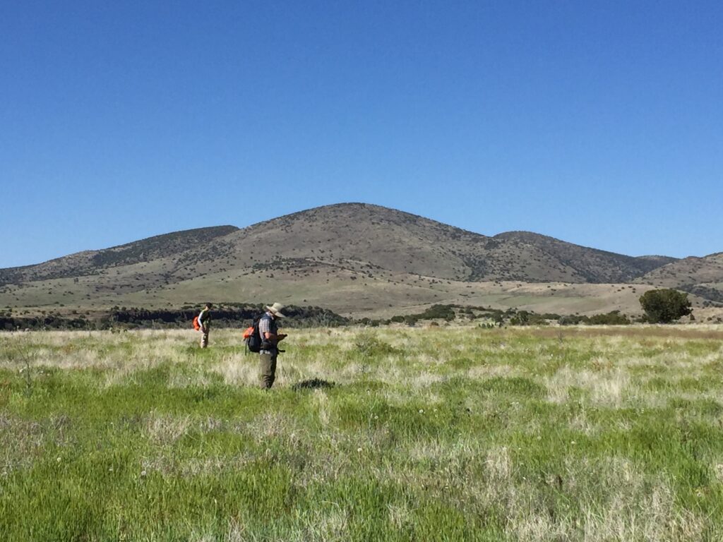 Field workers survey a wetland.