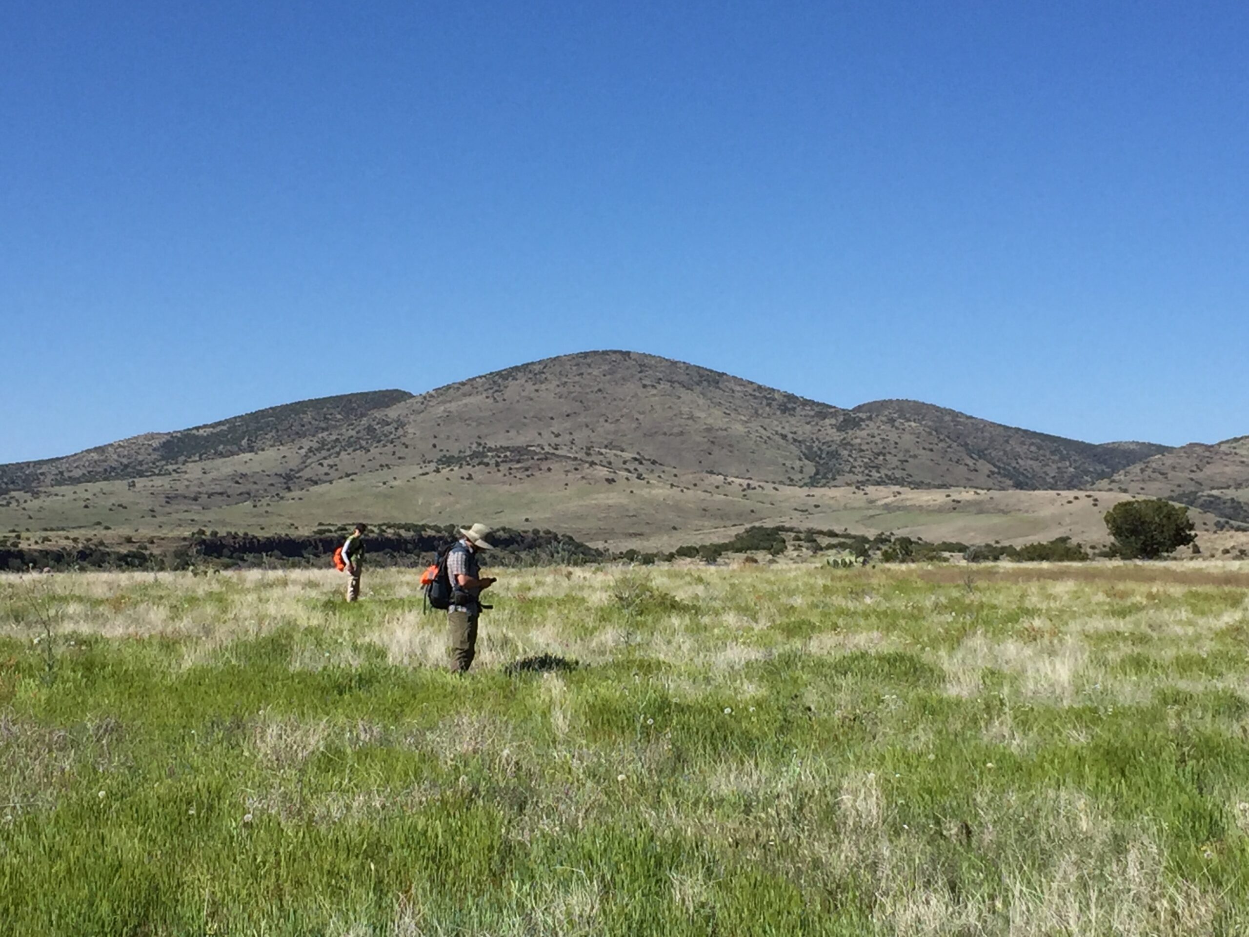 Field Workers Survey at Weland Field workers survey a wetland.