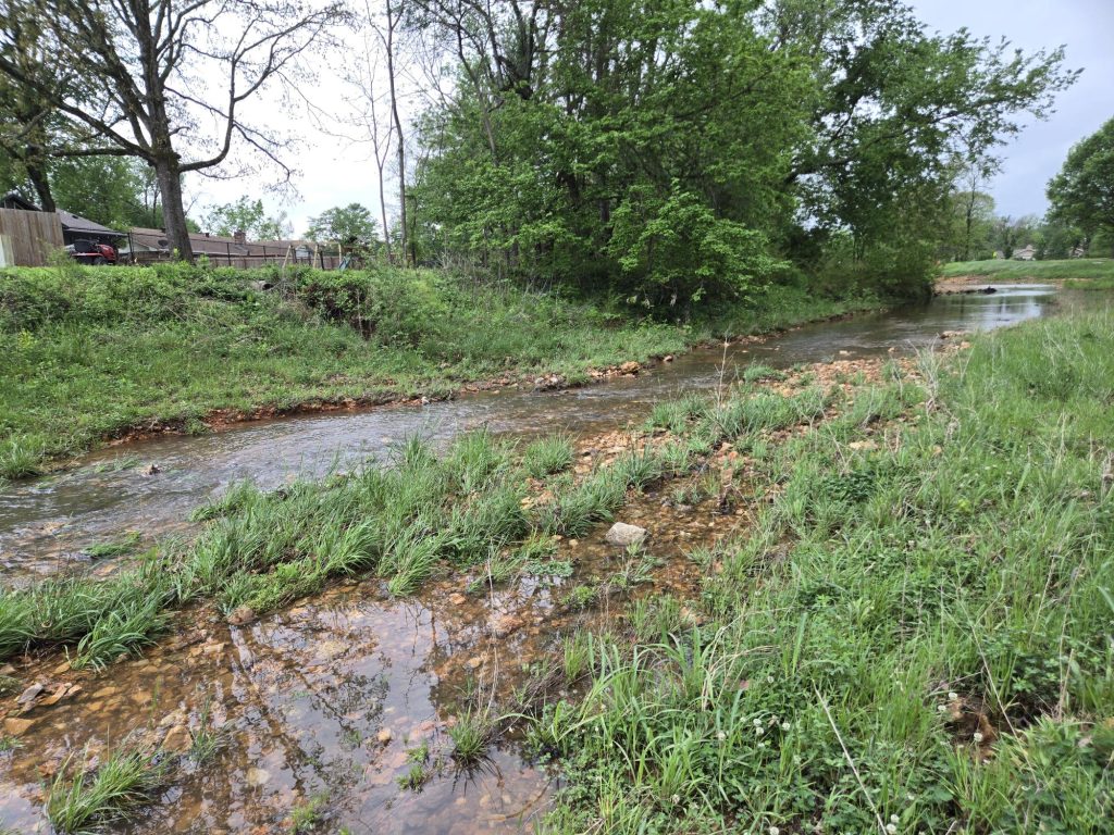 Stream in Rogers, Arkansas