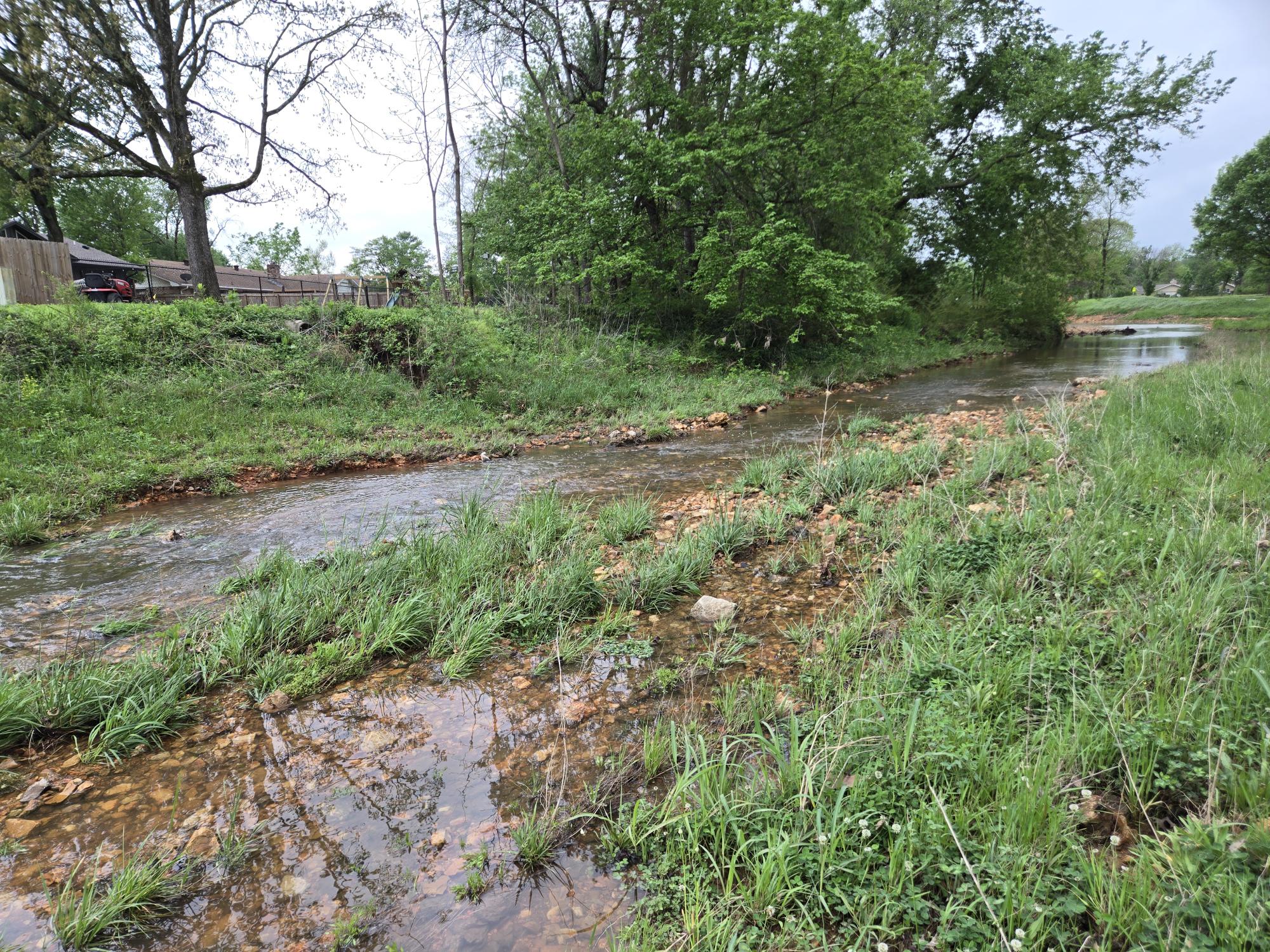 Stream in Rogers, Arkansas Stream in Rogers, Arkansas