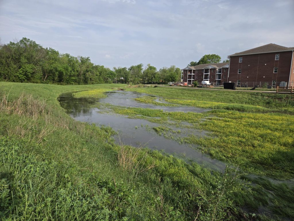 Stream Running by Apartment Complex