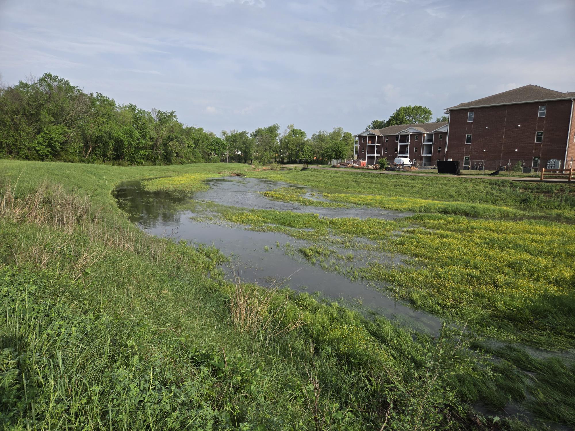 Stream Running by Apartment Complex
